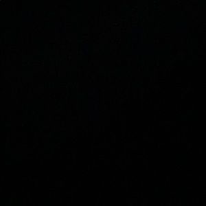 Meet your Posher, Regino